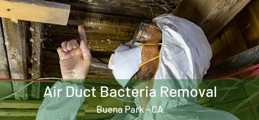 Air Duct Bacteria Removal Buena Park - CA