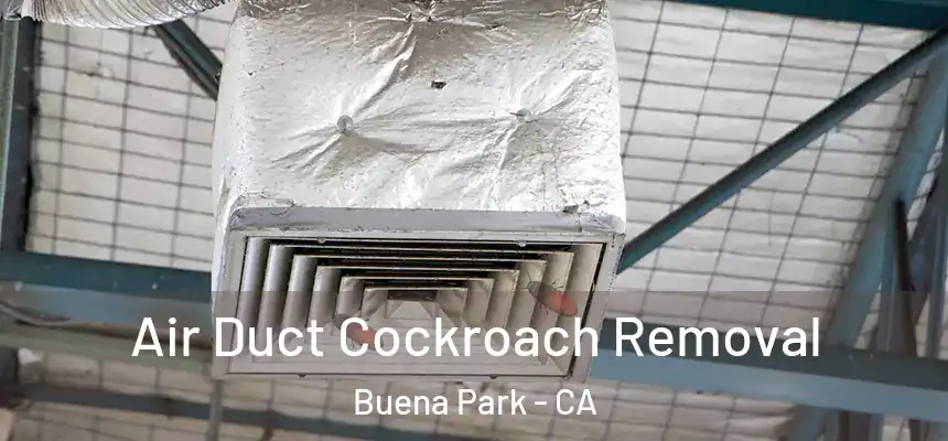 Air Duct Cockroach Removal Buena Park - CA