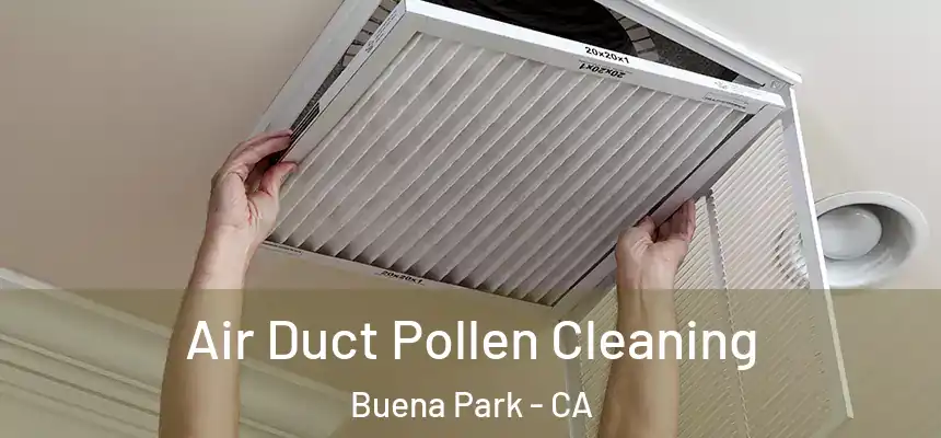  Air Duct Pollen Cleaning Buena Park - CA