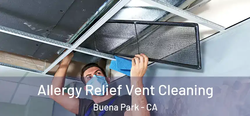 Allergy Relief Vent Cleaning Buena Park - CA