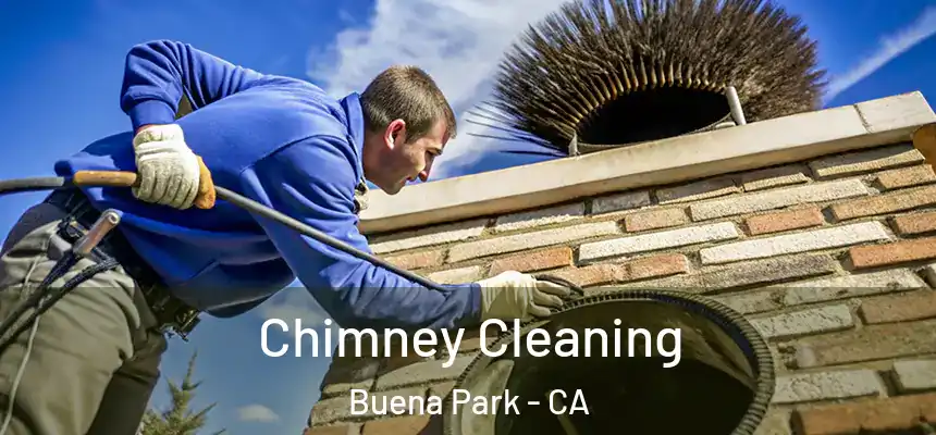  Chimney Cleaning Buena Park - CA
