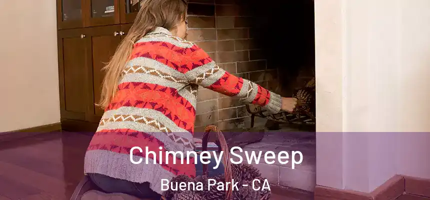 Chimney Sweep Buena Park - CA