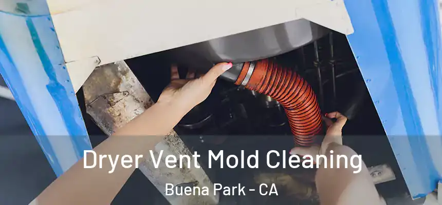 Dryer Vent Mold Cleaning Buena Park - CA