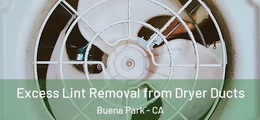 Excess Lint Removal from Dryer Ducts Buena Park - CA