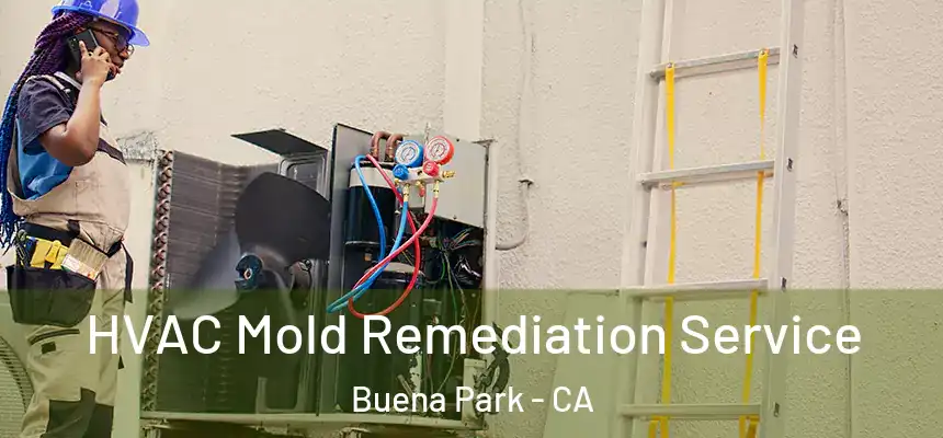HVAC Mold Remediation Service Buena Park - CA