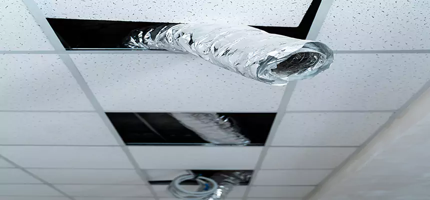 Our Air Duct Pet Hair Removal Services in Buena Park, CA