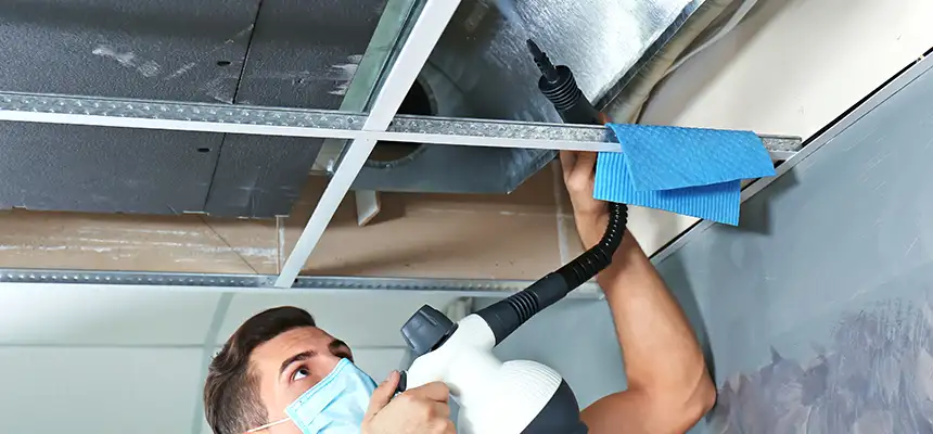 Our Air Duct Rodent Removal Services in Buena Park, CA