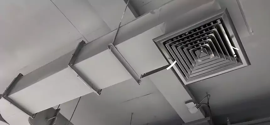 Restorative Allergy Relief Vent Cleaning – Coil, Blower & Housing Detail in Buena Park