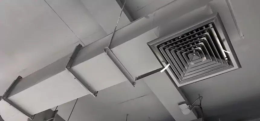 Our Pest Removal From Ducts Services in Buena Park, CA