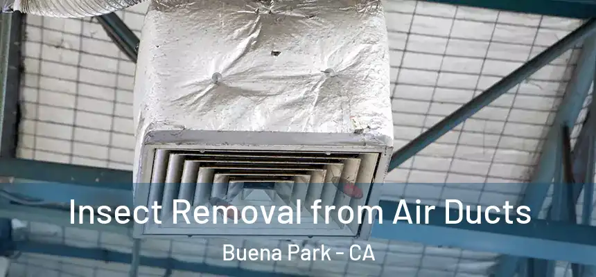 Insect Removal from Air Ducts Buena Park - CA