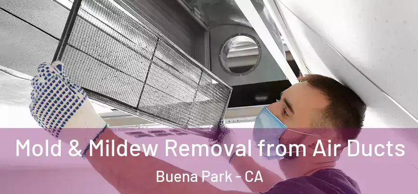 Mold & Mildew Removal from Air Ducts Buena Park - CA