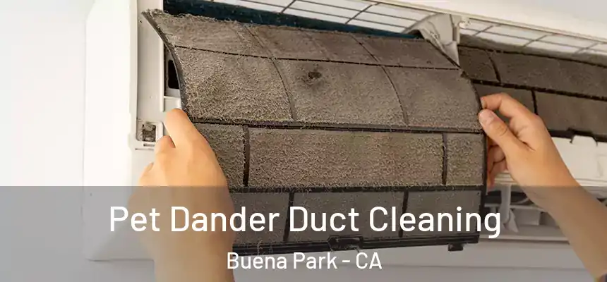 Pet Dander Duct Cleaning Buena Park - CA