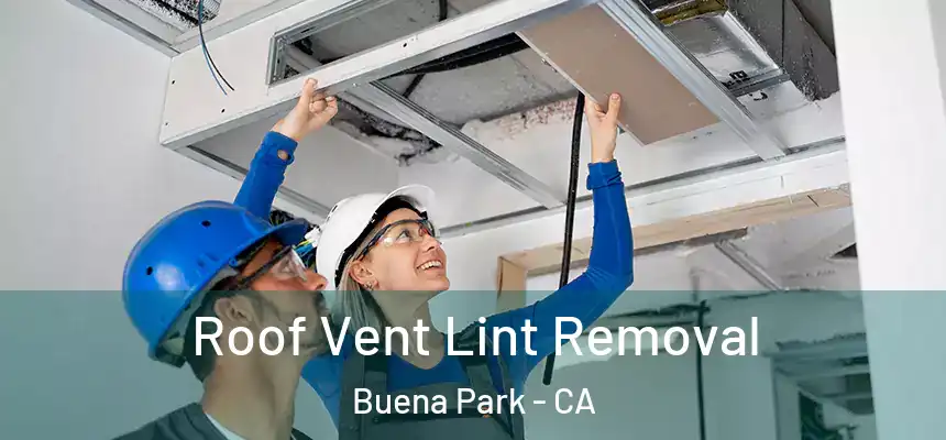 Roof Vent Lint Removal Buena Park - CA