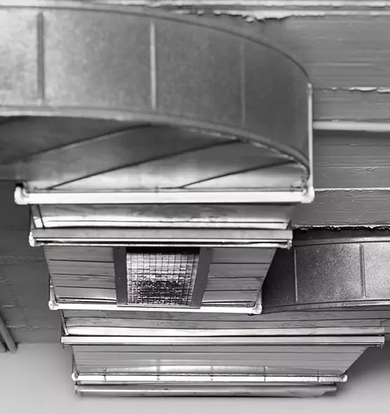 Professional Air Duct Pest Removal in Buena Park, CA