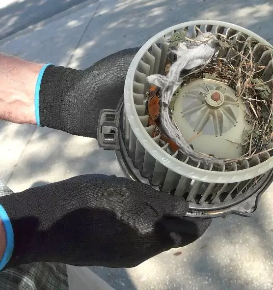 About Air Duct Rat Removal in Buena Park, CA