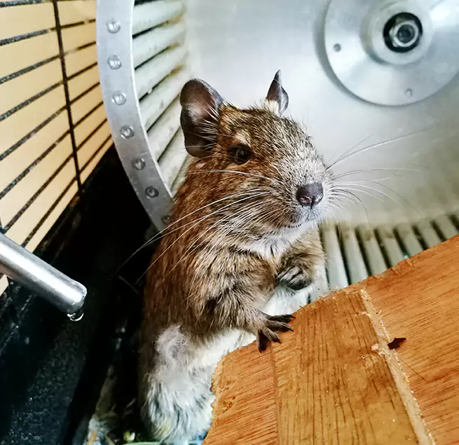 Why Homeowners & Businesses Trust Us Buena Park, CA