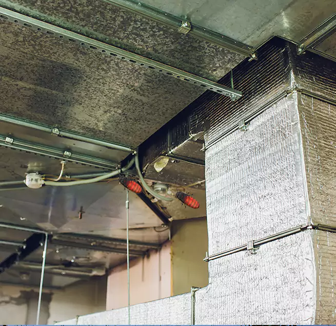 Why Homeowners & Businesses Trust Us Buena Park, CA?