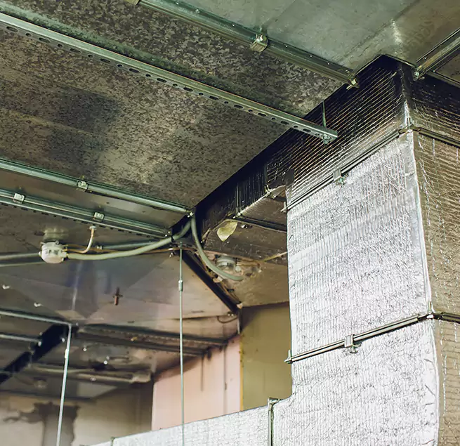 Why Homeowners & Businesses Trust Us in Buena Park, CA?